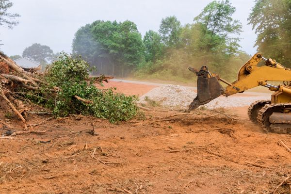 Ground Clearing in Panama City Beach