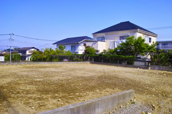 Cost of Lot Clearing Service in Panama City Beach
