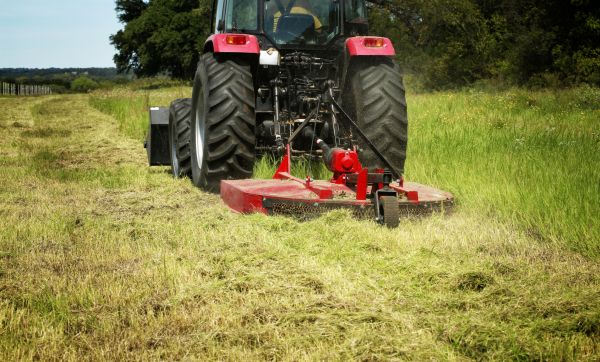 Brush Clearing Service in Panama City Beach