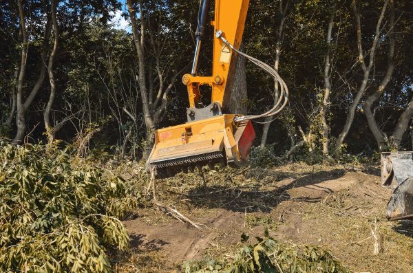 Brush Removal Service in Panama City Beach