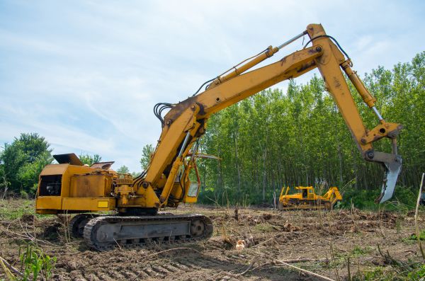 Farm Clearing in Panama City Beach