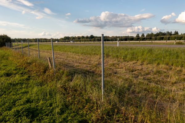 Property Line Clearing in Panama City Beach
