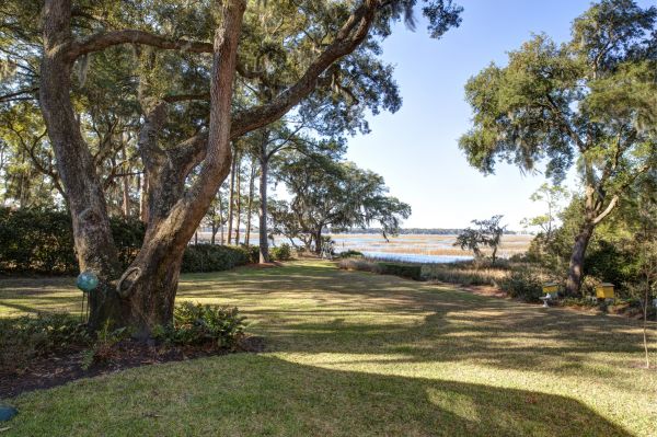 Lakefront Property Clearing in Panama City Beach
