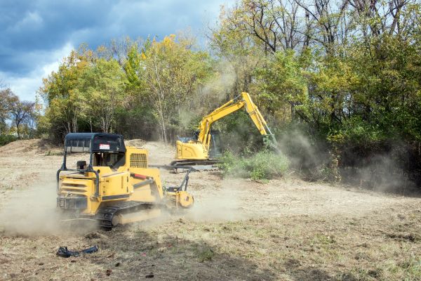 Terrain Clearing in Panama City Beach