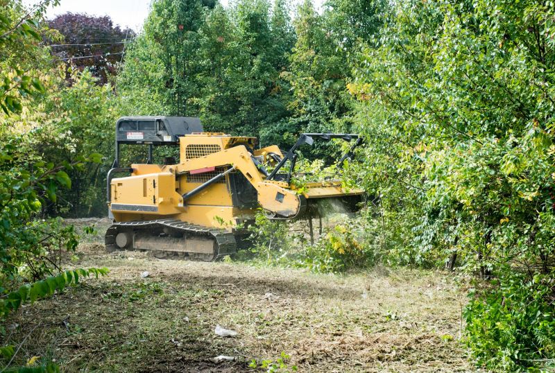 Tree Clearing Equipment